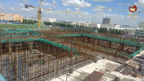 龍江經濟振興的號角正在吹響