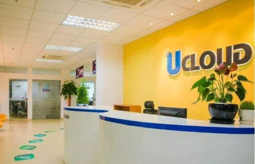 優刻得中簽號公布 在線查詢指南與計算機系統技術服務的未來展望